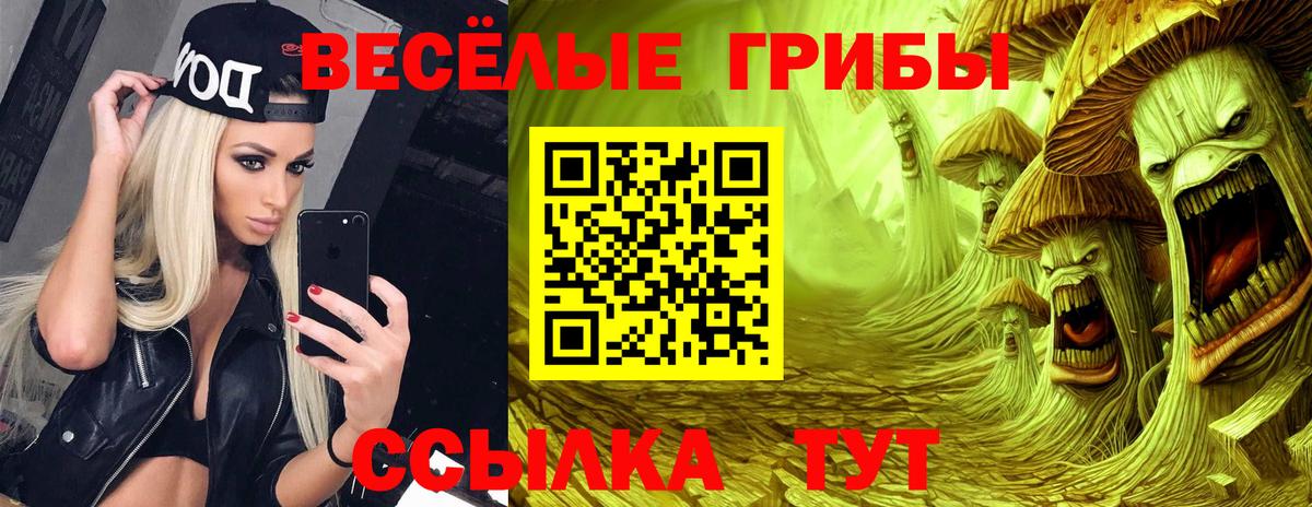 Псилоцибиновые грибы ЛСД  Вход с VPN  Гудермес 